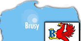 Brusy