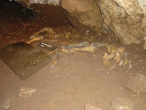 Jaskinia Niedzwiedzia.