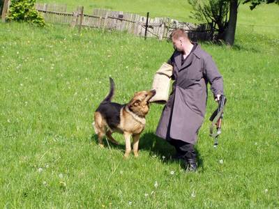 Policjanci udzielali rad, jak zachowywa si przy obcym, agresywnym psie.