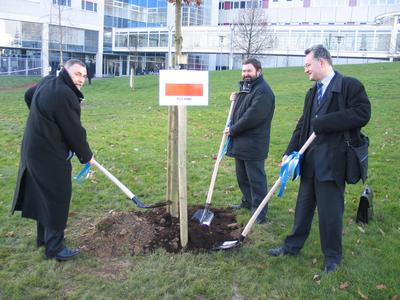 Zgodnie z tradycj, e kada delegacja sadzi swoje drzewo, na placu przed Uniwersytetem w Maastricht  delegacja ZMP posadzia sadzonk dbu